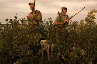 Beer, Bait, & Ammo