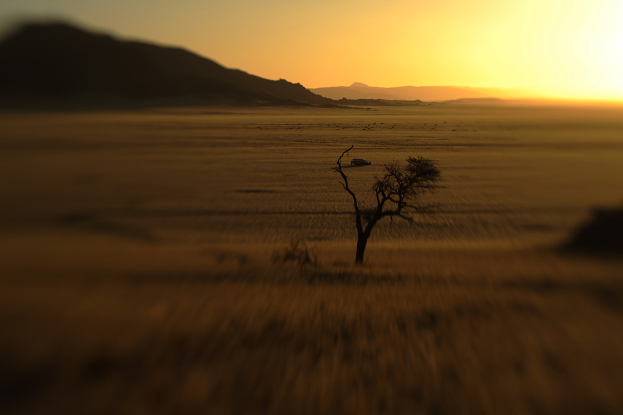  : Cape to Cairo : MICHAEL LOYD YOUNG